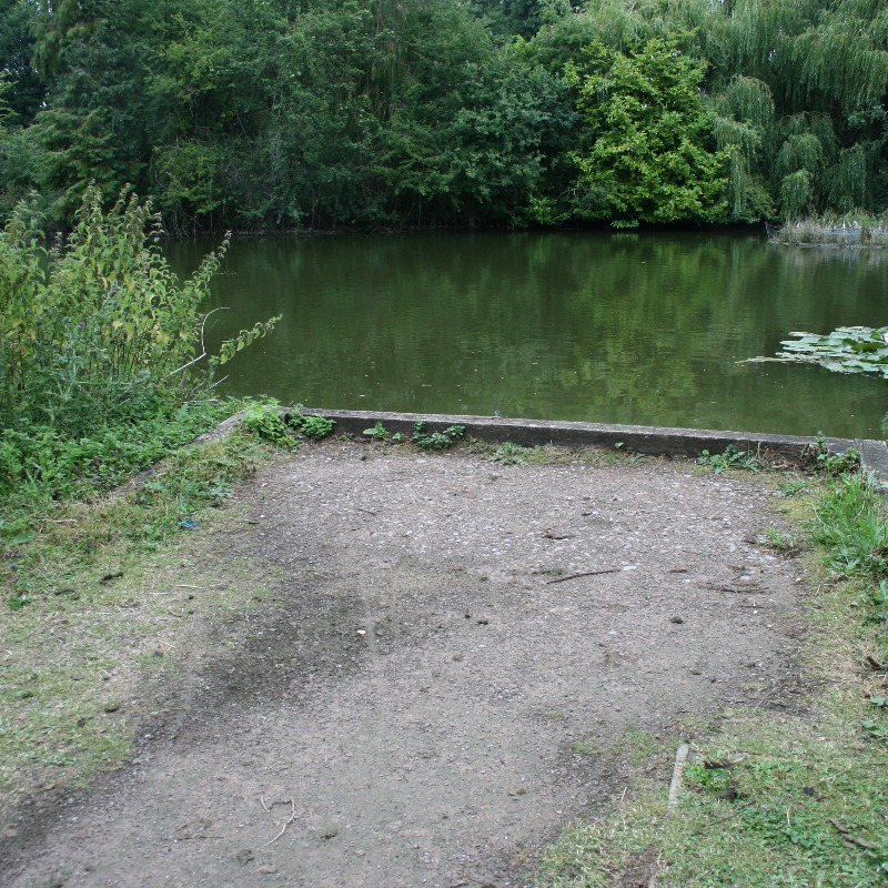 Fishery Foxcotte lake Hampshire